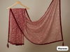 Tew Soft Net Beautiful Zari Sequence Embroidery Work Dupatta Wholesalers In Delhi